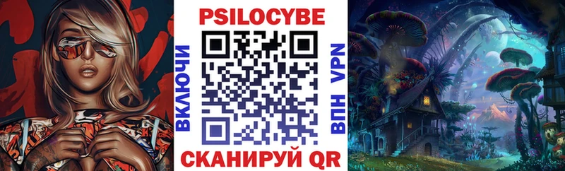 сколько стоит  площадка состав  Псилоцибиновые грибы Psilocybe  Няндома 